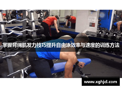 掌握背阔肌发力技巧提升自由泳效率与速度的训练方法